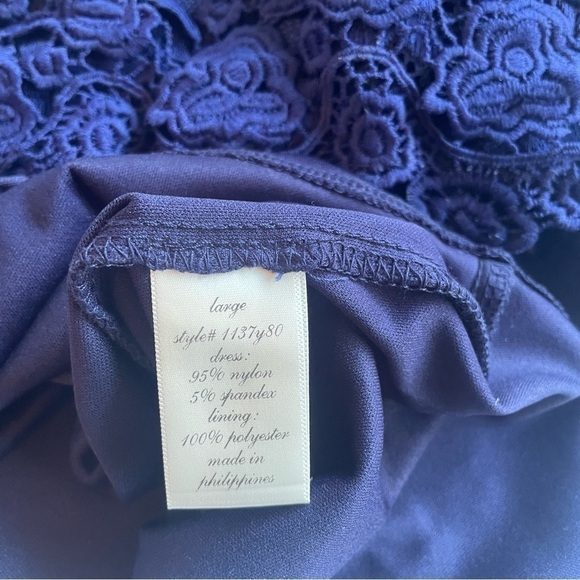 Francesca’s Blue Rain Navy Lace Mini Dress - Picture 16 of 16